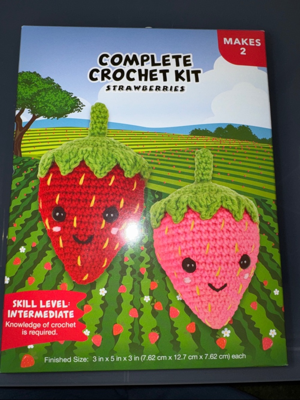 Complete Crochet Kit - Strawberries (Red & Pink)